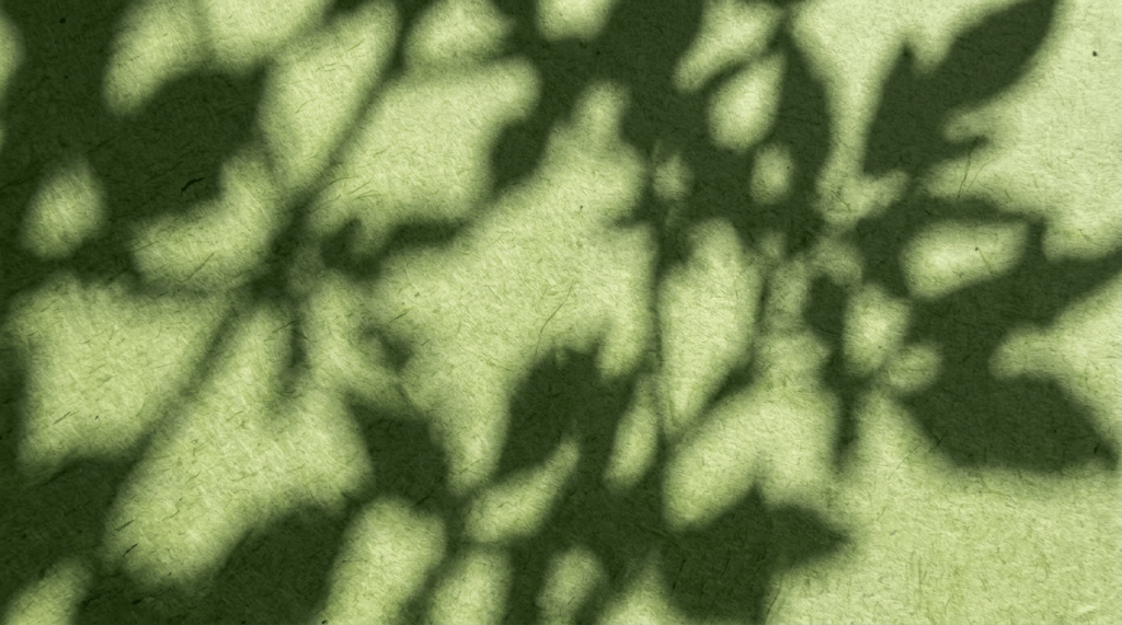 Dappled sunlight across a textured green moss surface